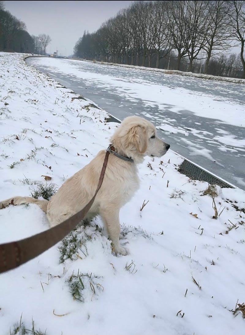 LAGOMHOME ajándékutalvány