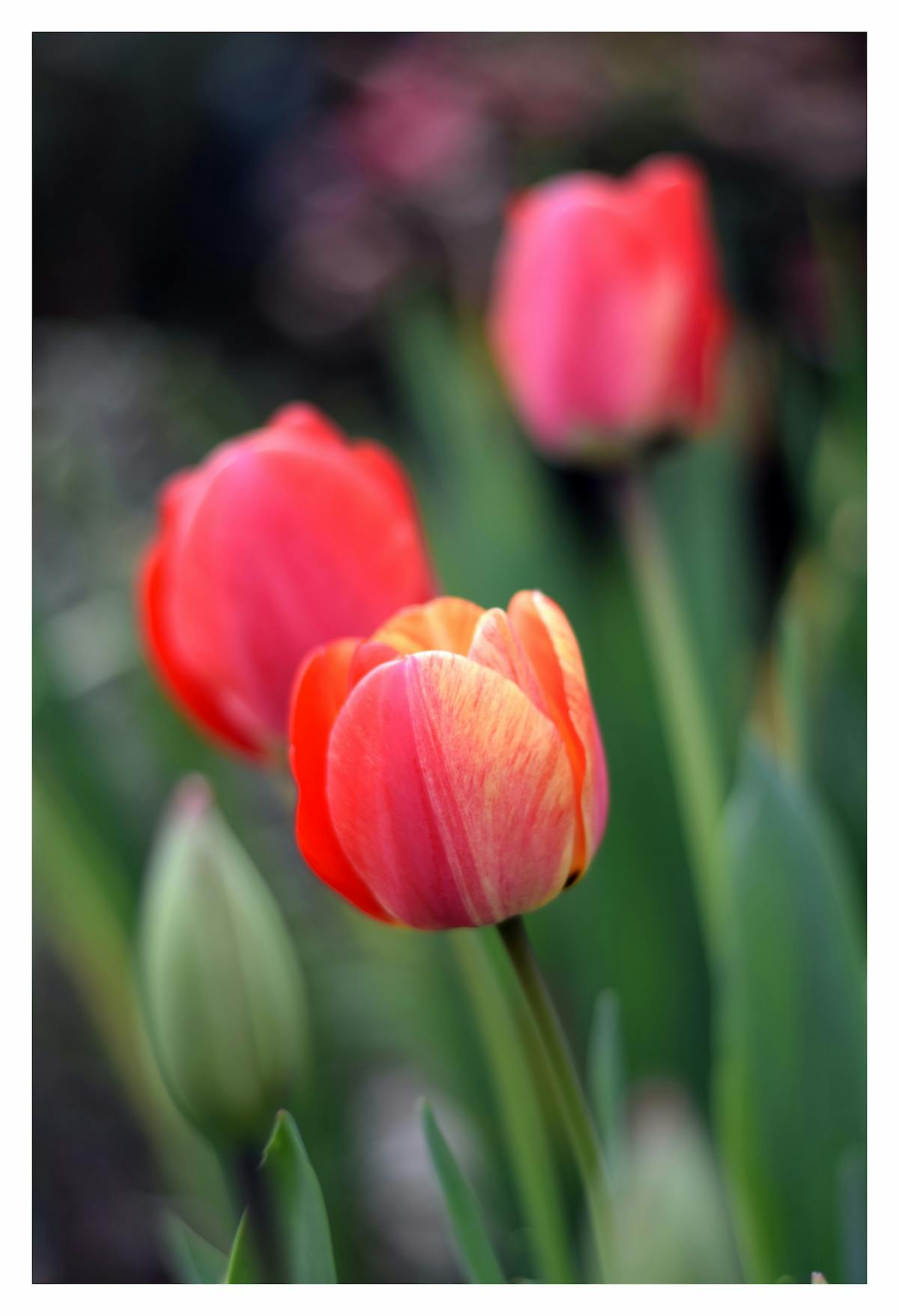 Neutral boho bedroom with rattan headboard, white bedding, and earthy accents