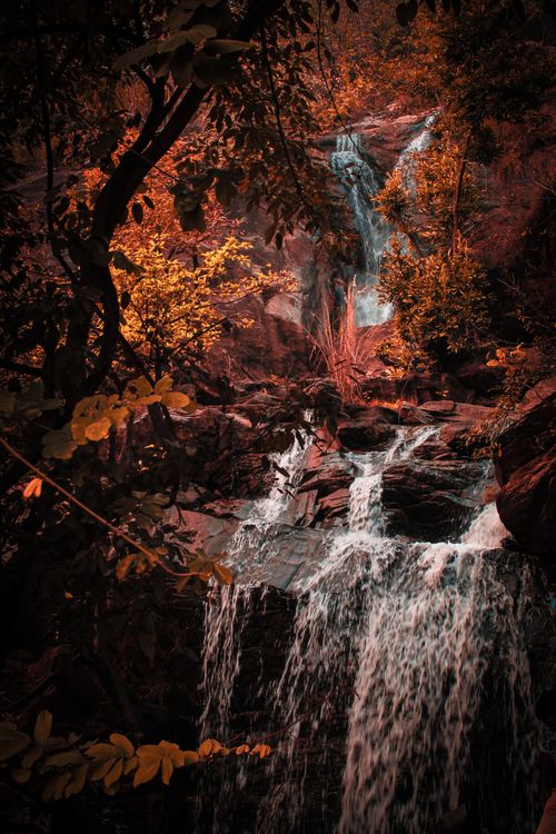 Free Dramatic waterfall surrounded by vibrant autumn foliage in Ajodhya, India. Stock Photo