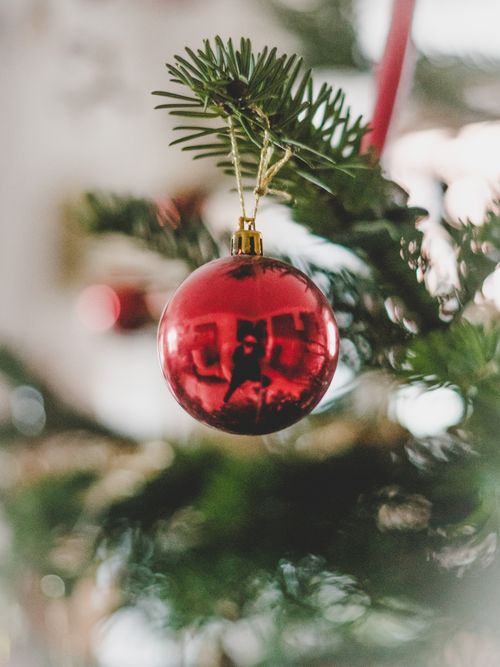 Free Close-up of a red Christmas ornament hanging on a pine tree, reflecting a cozy festive ambiance. Stock Photo