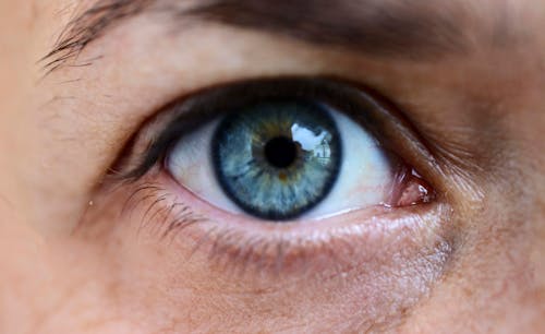 Free Persons Blue Eye Stock Photo