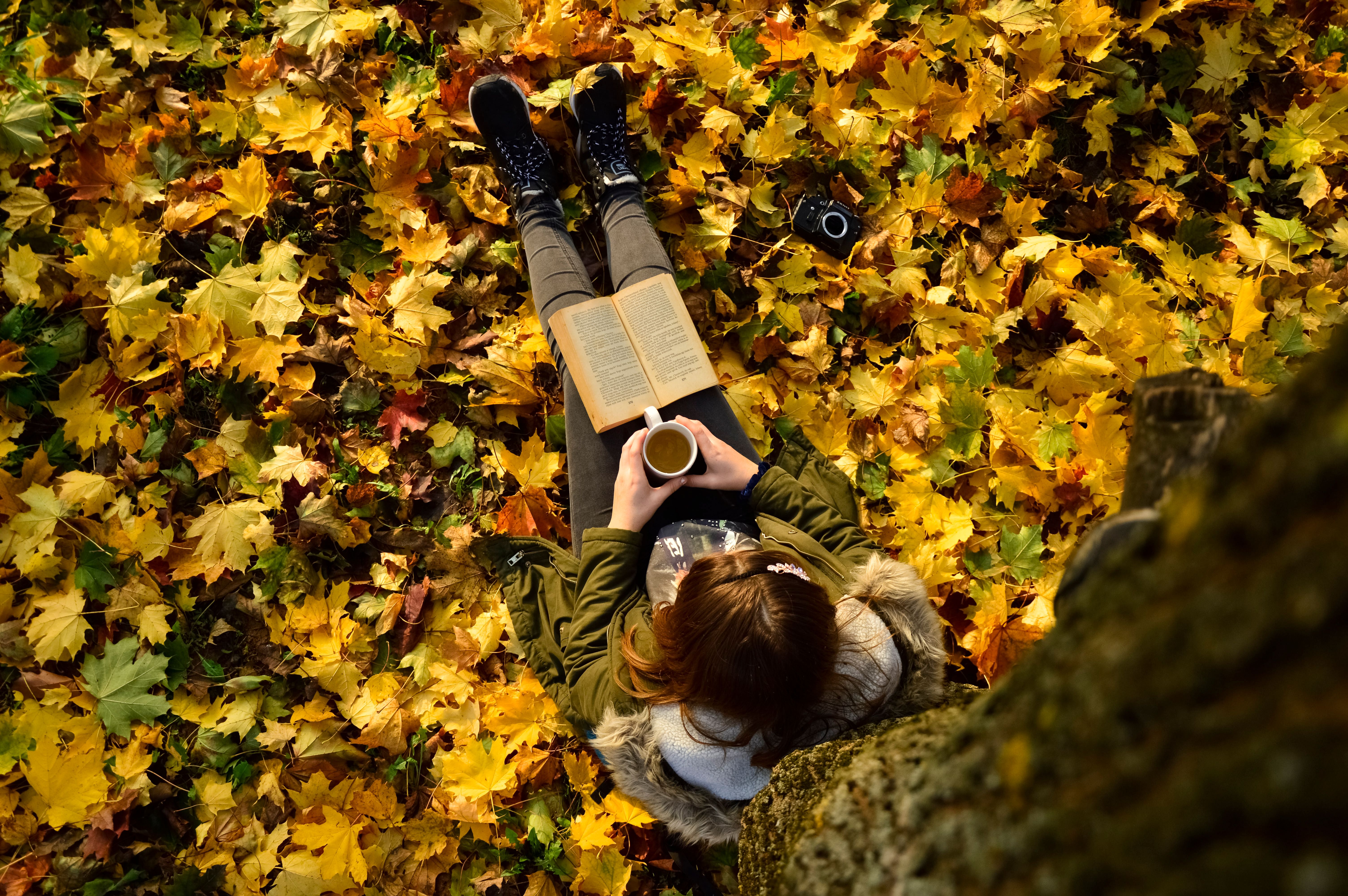 A Girl Reading A Book Under Fig Tree Photos, Download The BEST Free A ...