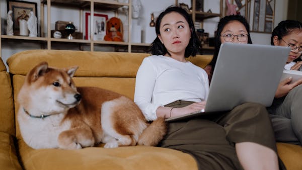 A family enjoying indoor leisure time with a dog and laptop on a comfortable sofa.