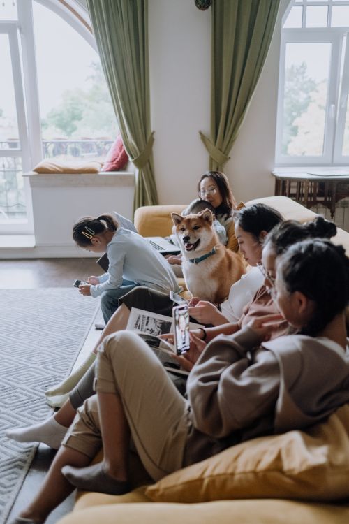 Free Family gathering in living room with Shiba Inu dog, enjoying relaxed leisure time together. Stock Photo