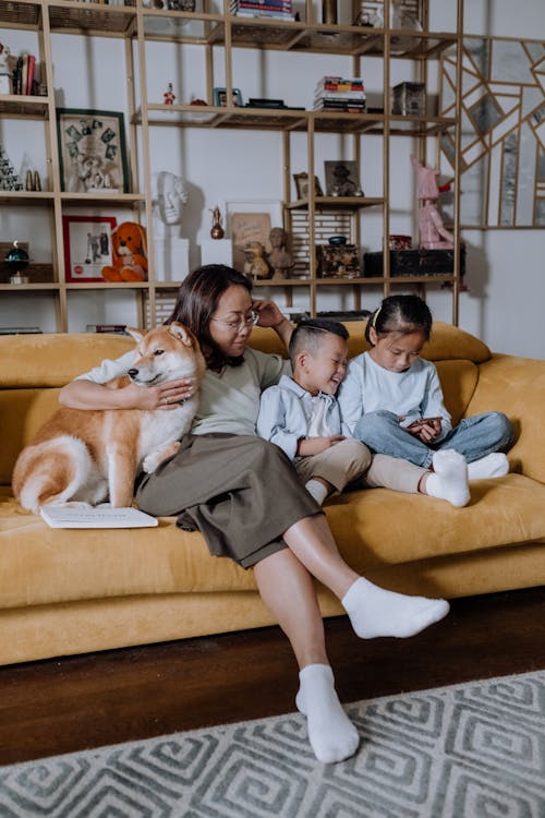 Kostnadsfri bild av asiatisk, asiatisk familj, däggdjur