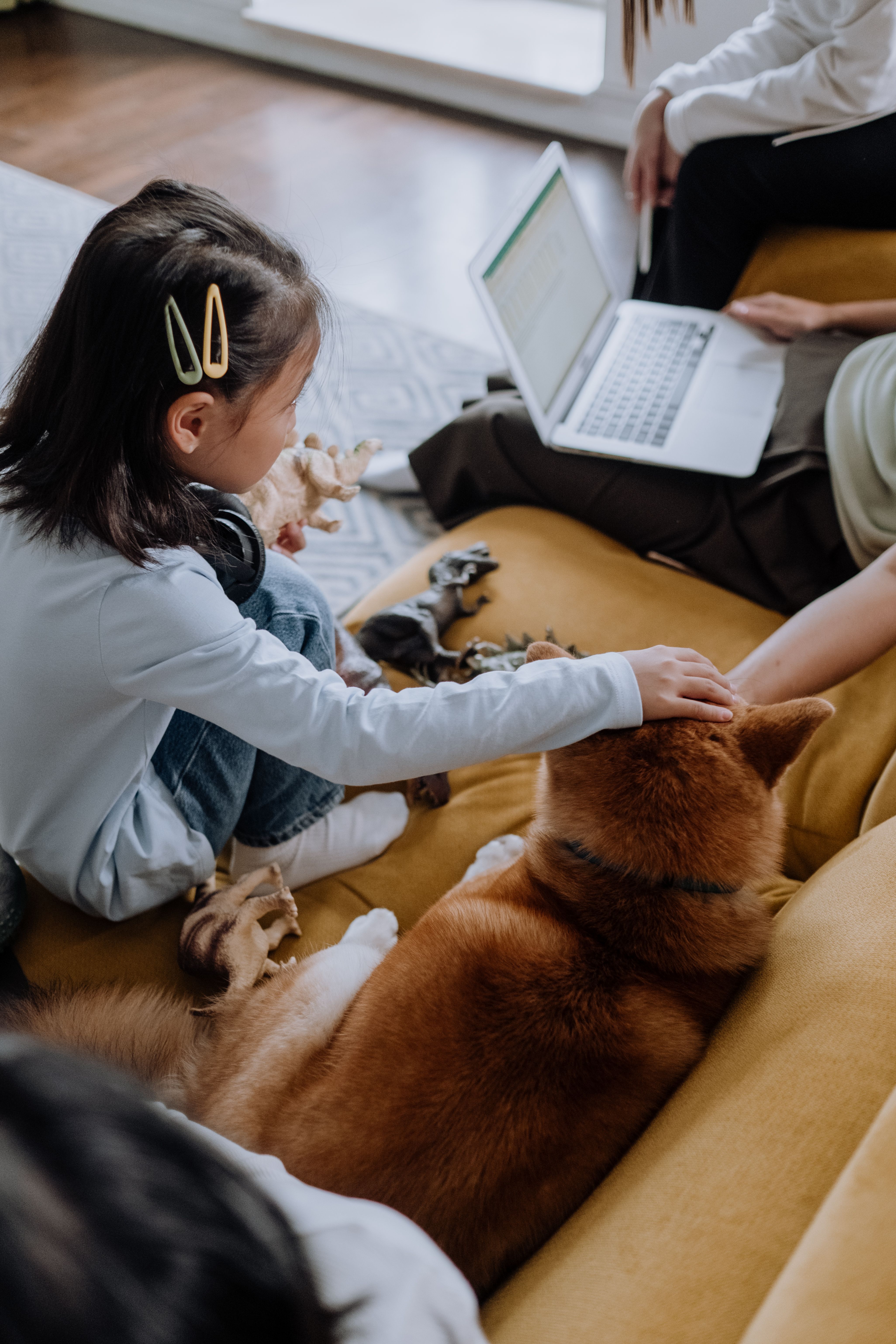 Young girl petting Shiba Inu dog indoors, sharing a relaxed moment in the living room with family.