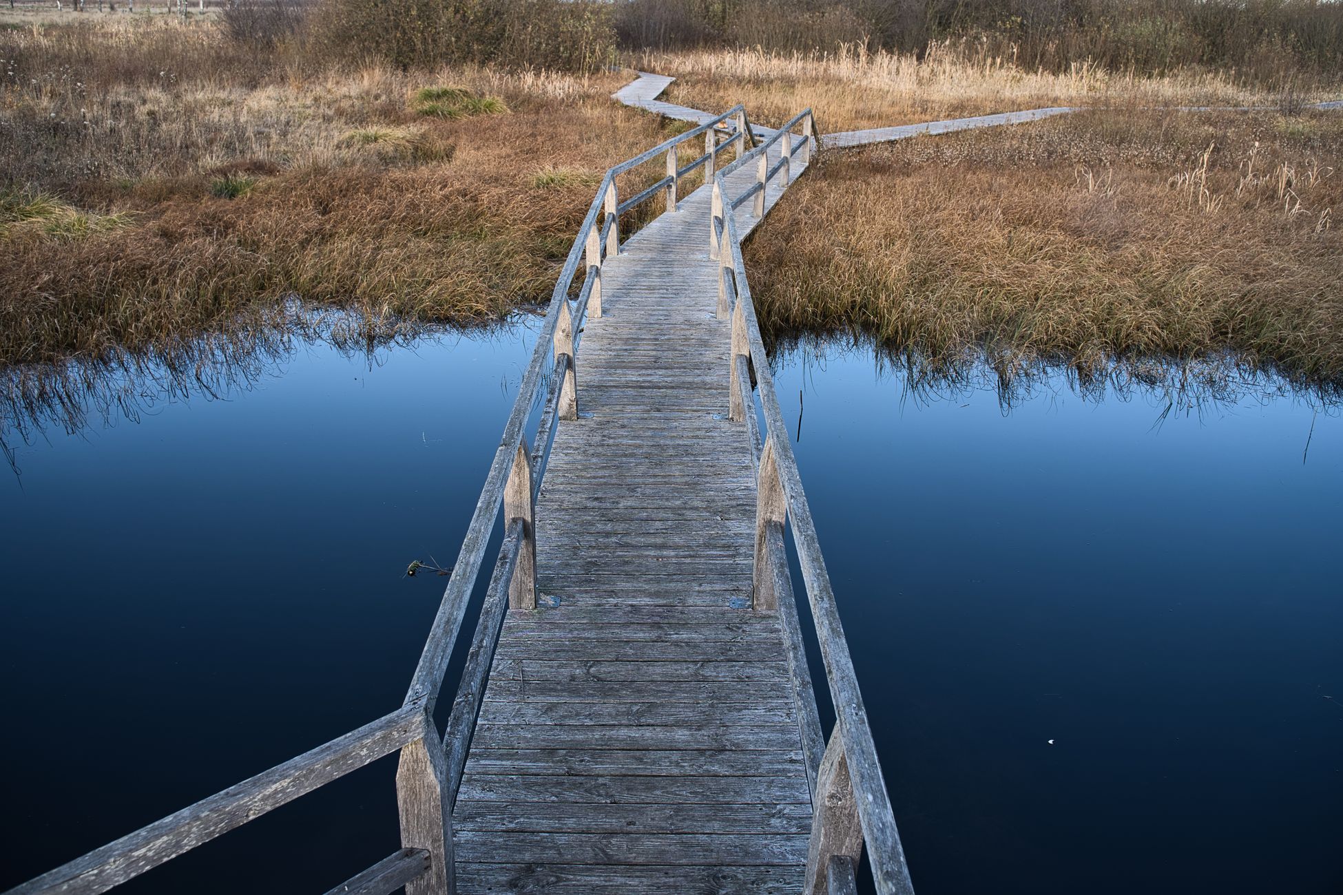 Natuurgebied bij Nieuw-Weerdinge te koop aangeboden