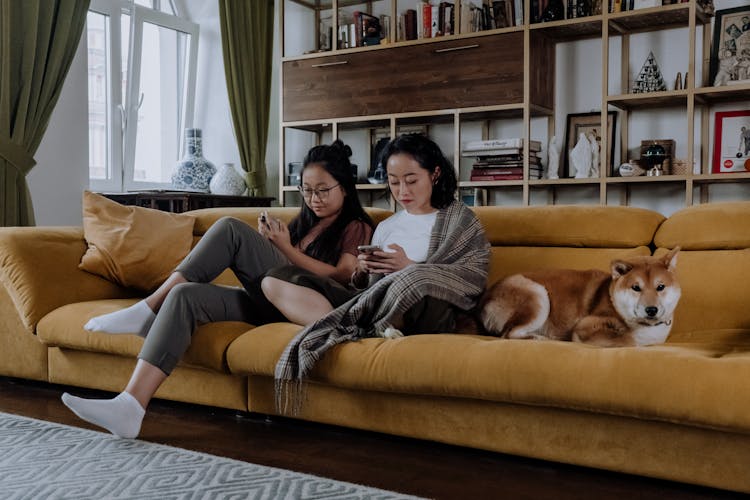 Women Sitting On The Sofa Beside The Dog 