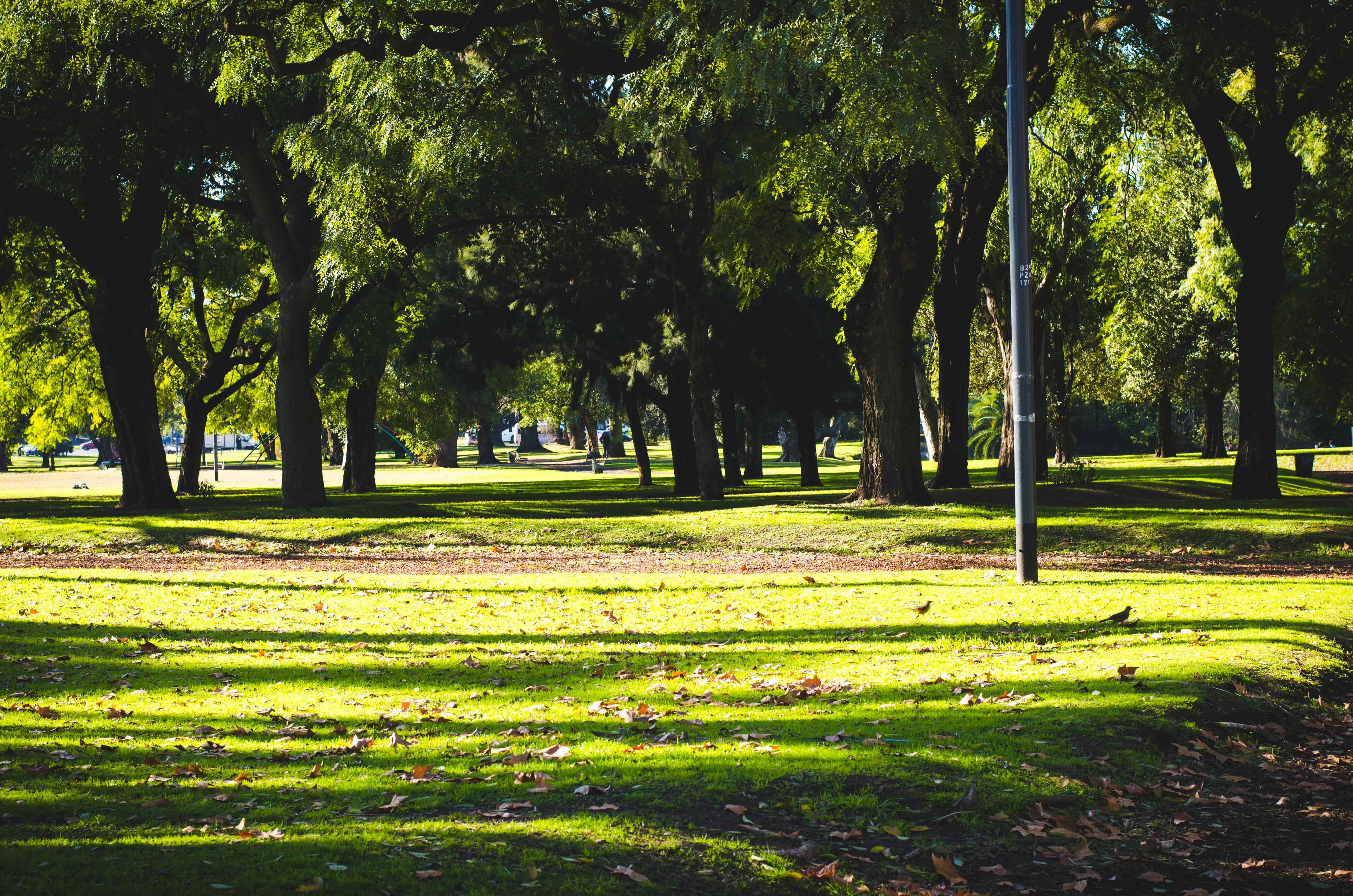 금전적인 계획을 세우는 이미지