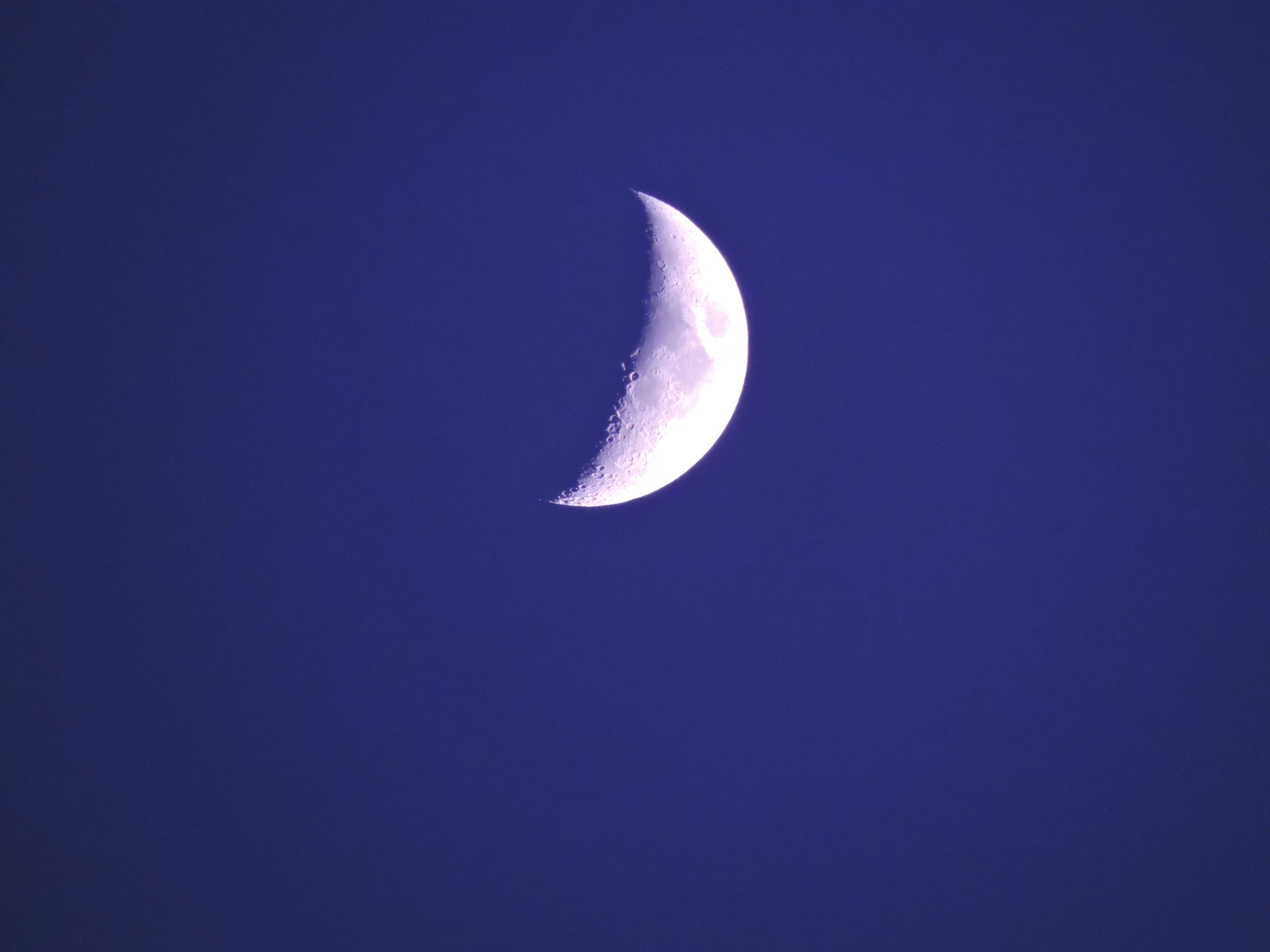 Crescent Moon Photos, Download The BEST Free Crescent Moon Stock Photos &  HD Images