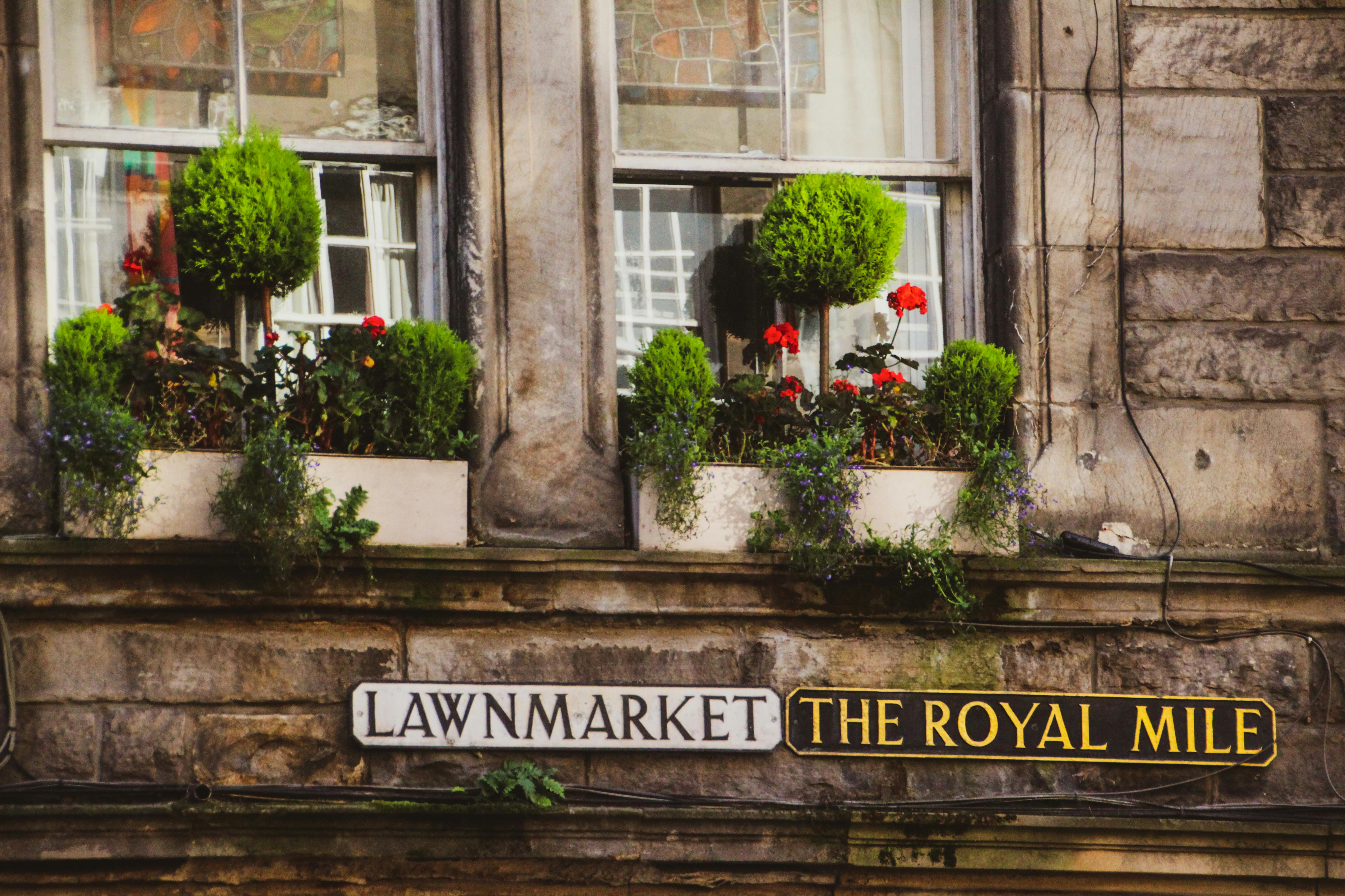 The Royal Mile Edinburgh: What to See and Eat