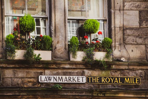 Ingyenes stockfotó a királyi mérföld, cserepes növények, Edinburgh témában