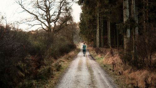 Jogging Path Photos, Download The BEST Free Jogging Path Stock Photos ...