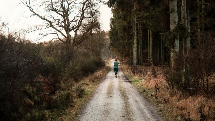 Man Jogging On A Forest Path 