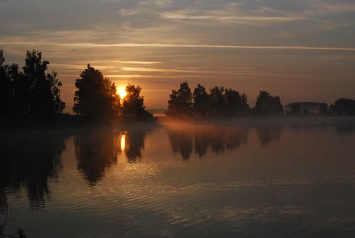 Free Peaceful sunrise over a foggy lake with tree silhouettes reflecting in the water. Stock Photo