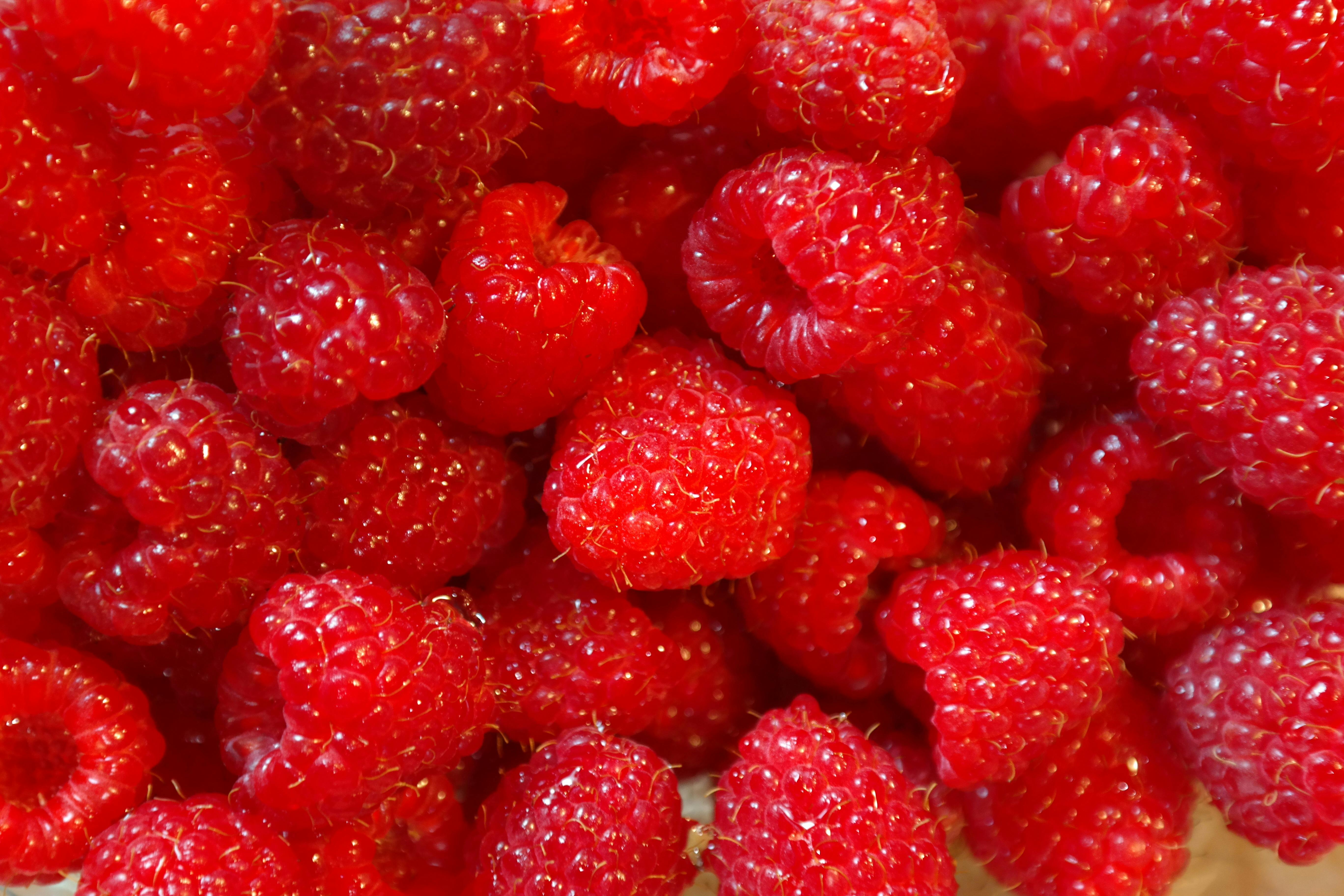 images of raspberries