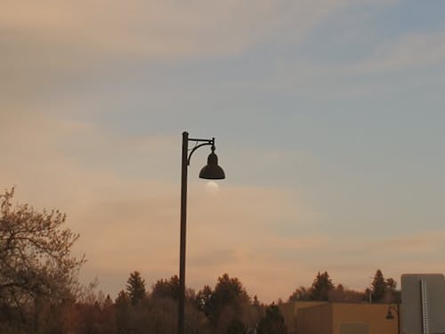 Immagine gratuita di autunno, cielo azzurro, idaho