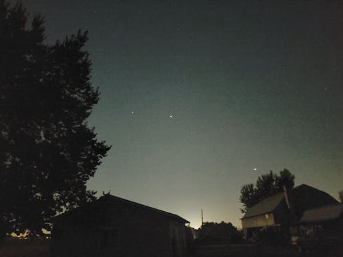 Immagine gratuita di albero, cielo notturno, cielo stellato