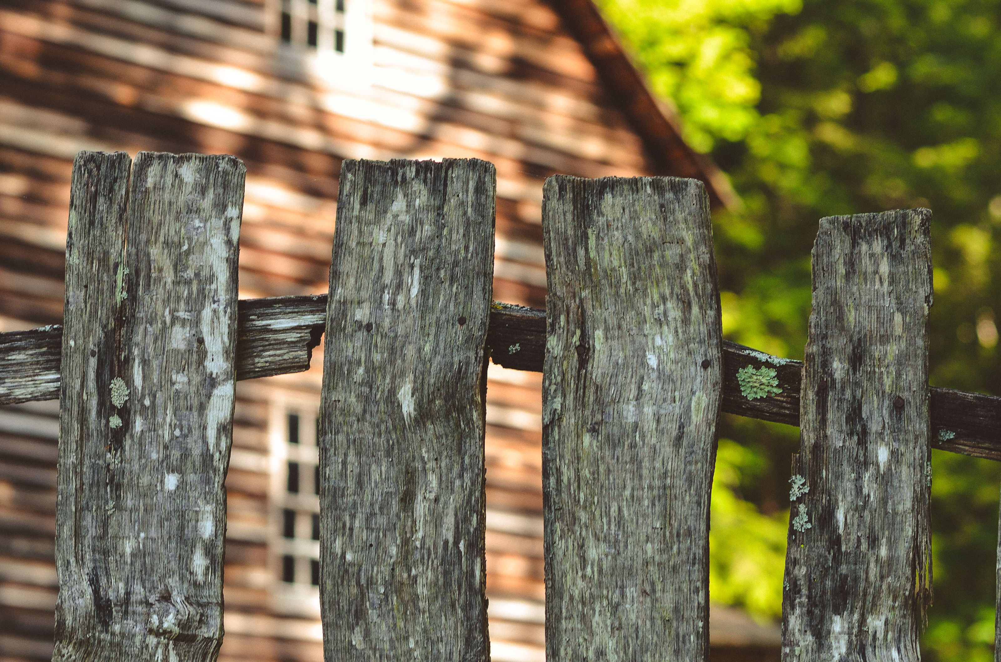 A Close-Up Shot of a Wooden Fence · Free Stock Photo