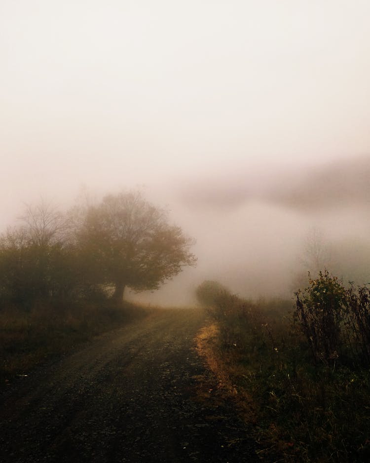 Dense Fog Over A Countryside Road