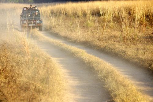 Free stock photo of car, forest, gypsy Stock Photo