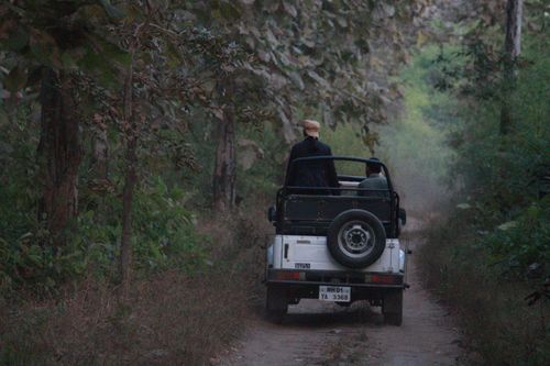 Free stock photo of car, forest, gypsy Stock Photo