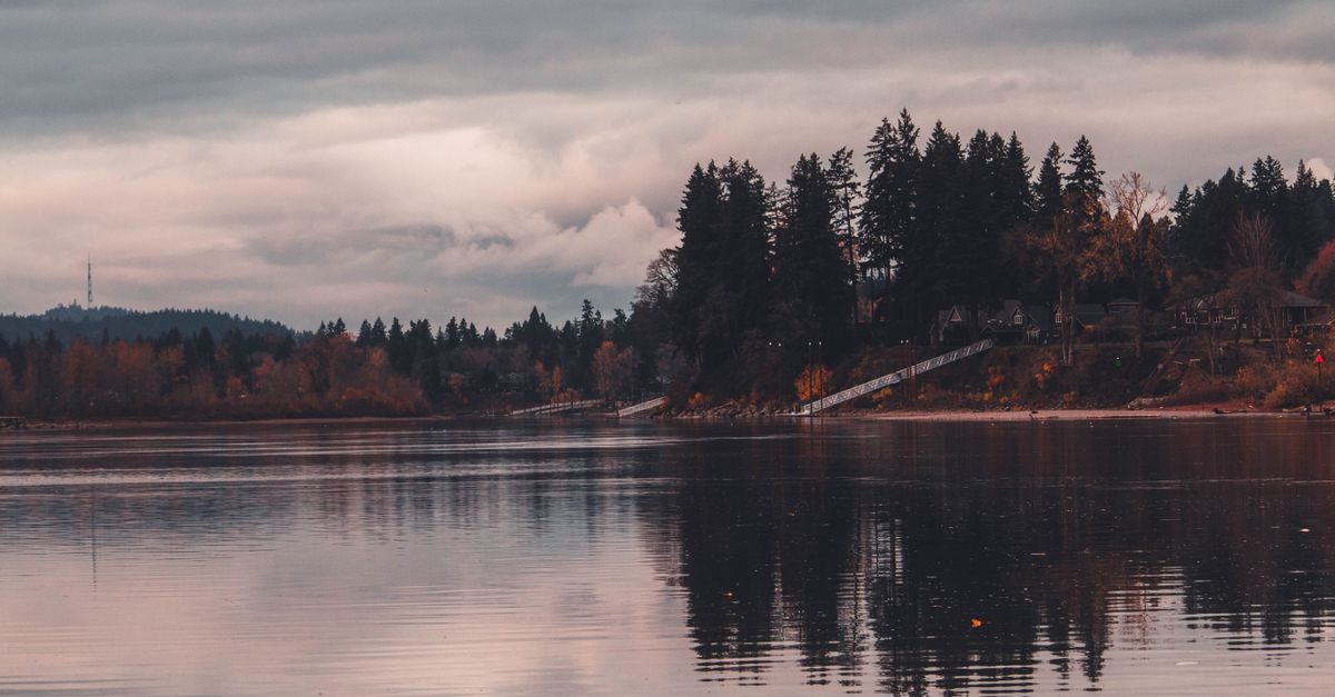Tranquil reflection of trees on calm water under a cloudy sky in West Linn, Oregon.