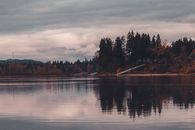 Body of Water Near Trees