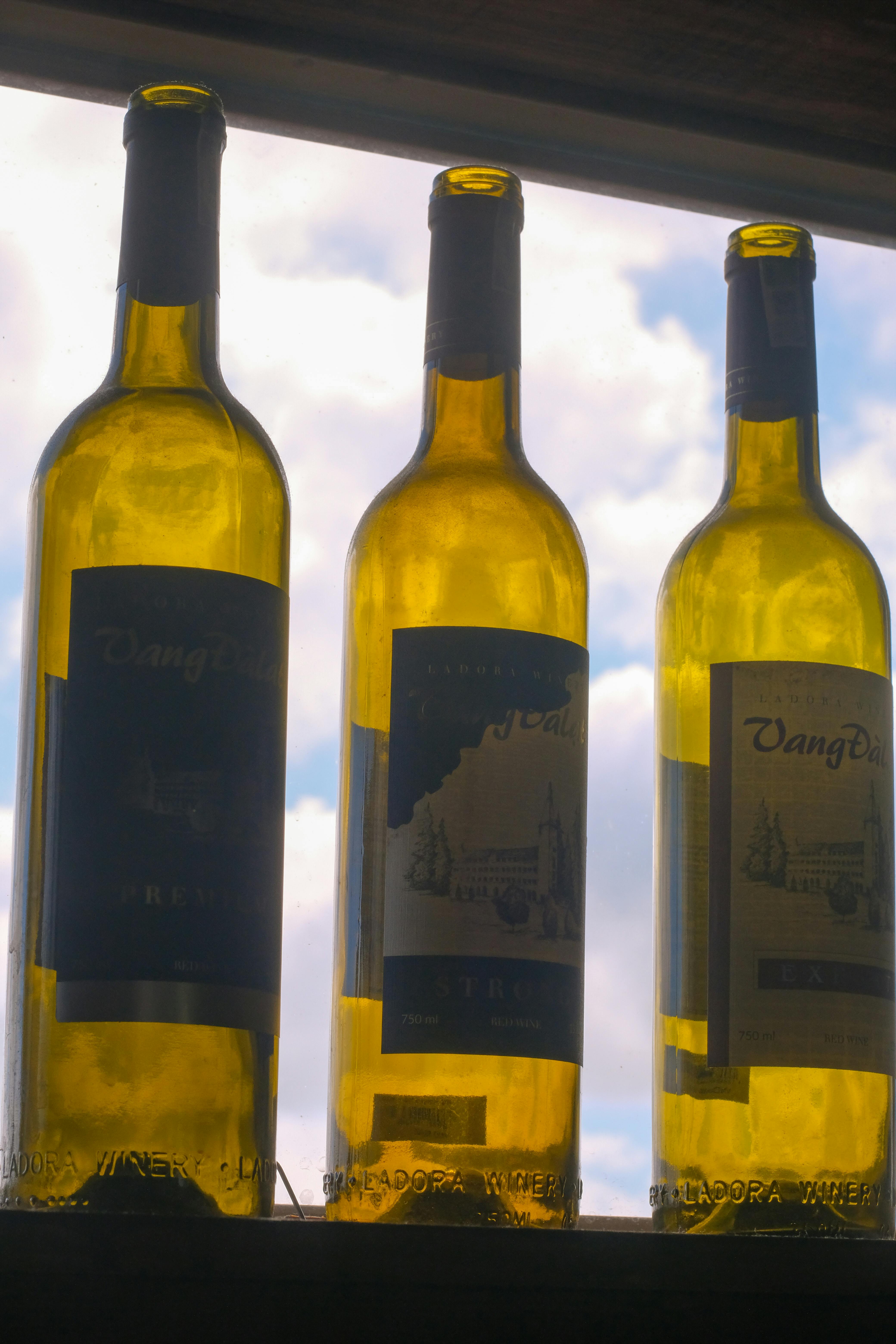 Empty Wine Bottles · Free Stock Photo