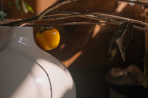 Close-up Branches with a Persimmon Fruit in a Vase