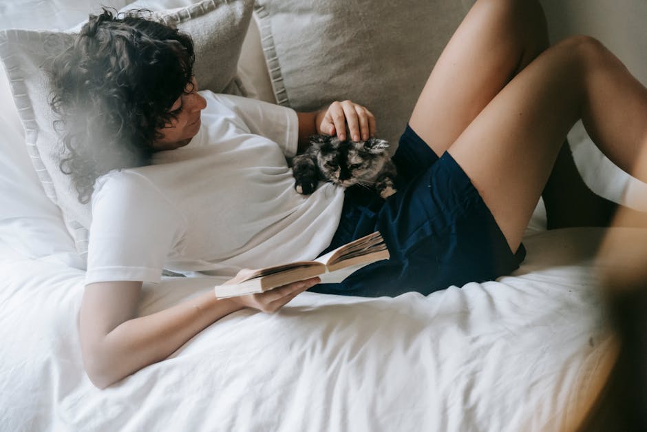  The best places to pet your cat