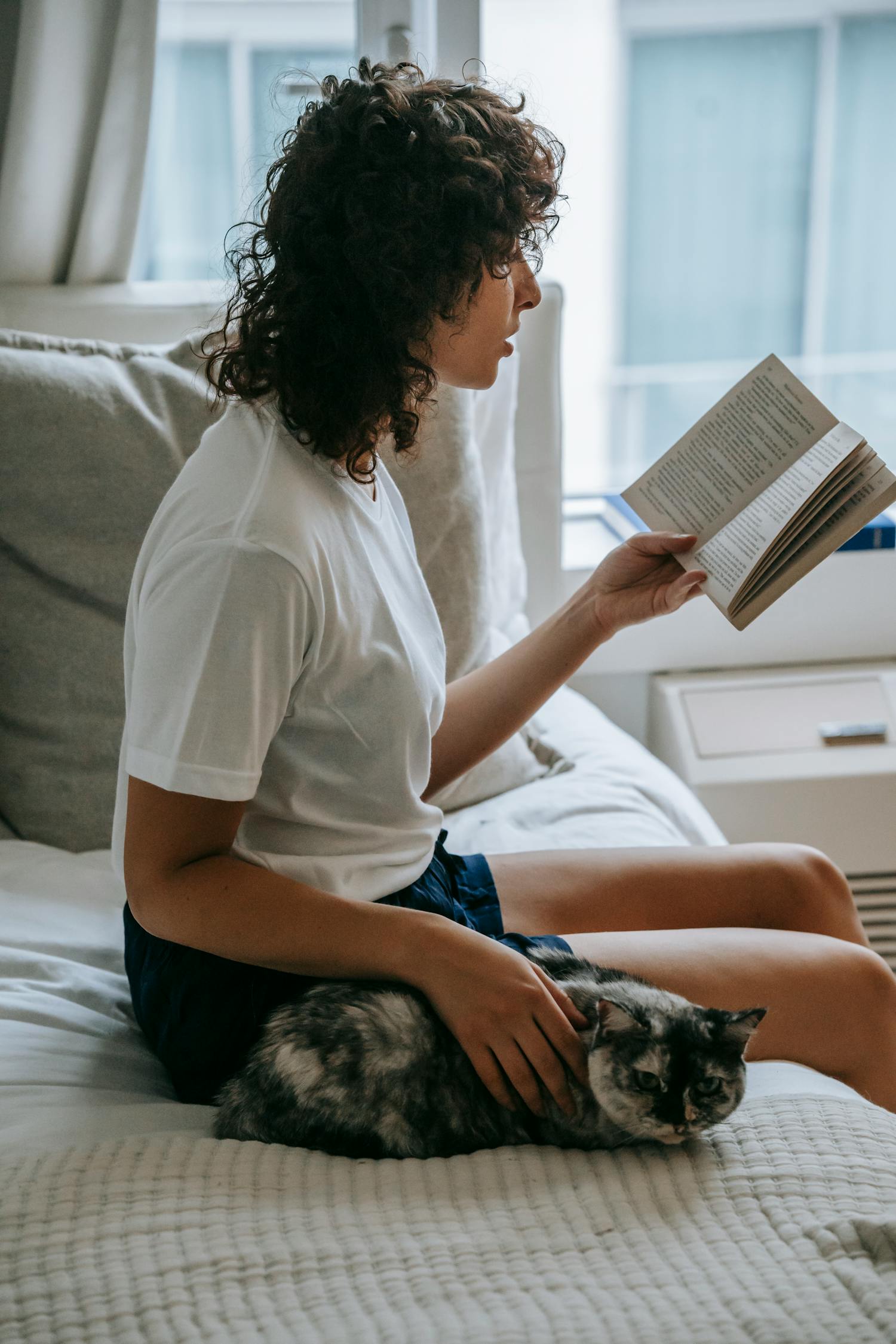 Focused Woman Reading Book And Caressing Cat On Comfy Bed Free Stock Focused Woman Reading Book And Caressing Cat On Comfy Bed Free Stock