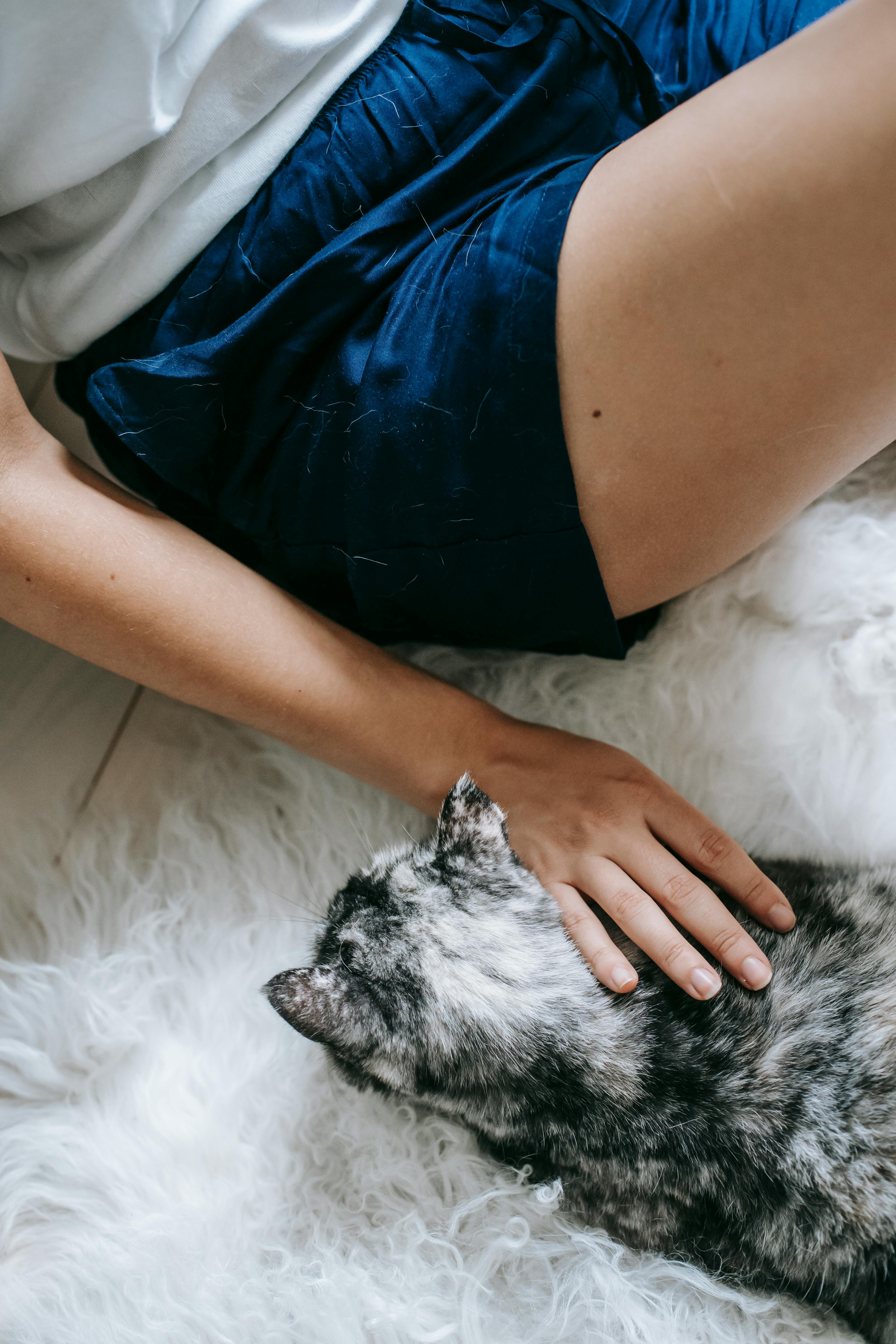 From above crop female in casual shorts caressing sweet adorable cat while sitting together on fluffy carpet on floor in light bedroom