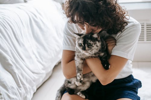 Crop content brunette wearing casual clothes embracing and kissing sweet hairy cat while sitting on floor in light modern bedroom