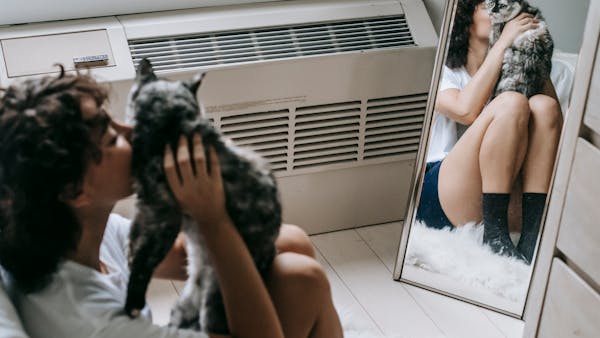 Side view of young female with curly hair in casual clothes resting on floor near mirror in cozy room and kissing cute cat