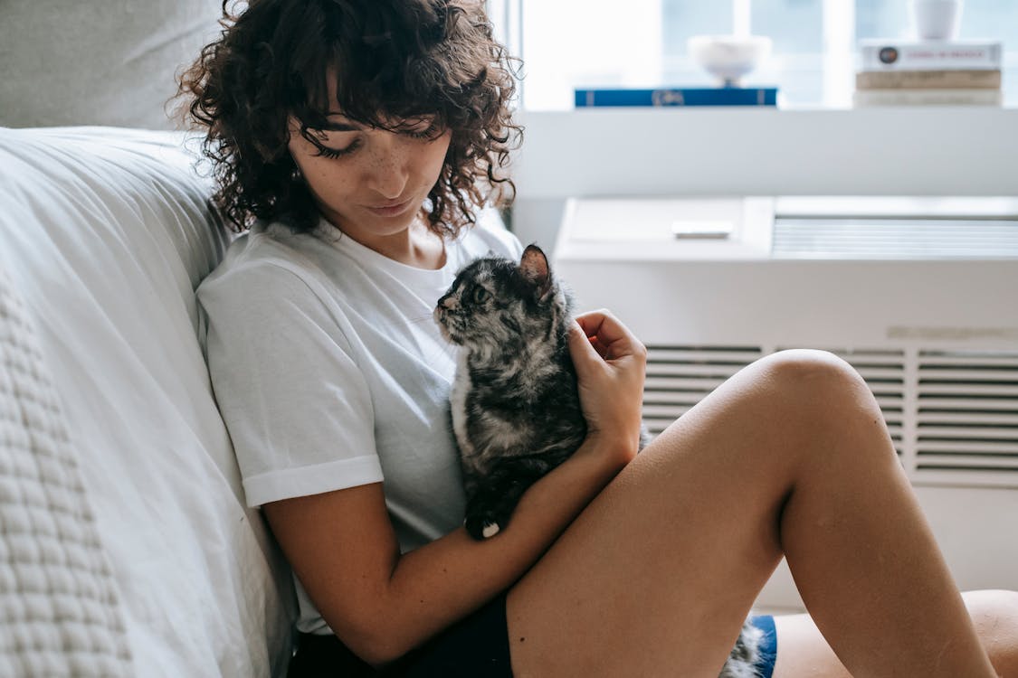 Side view of crop young female with curly hair in casual clothes hugging and stroking adorable purebred cat while relaxing at home