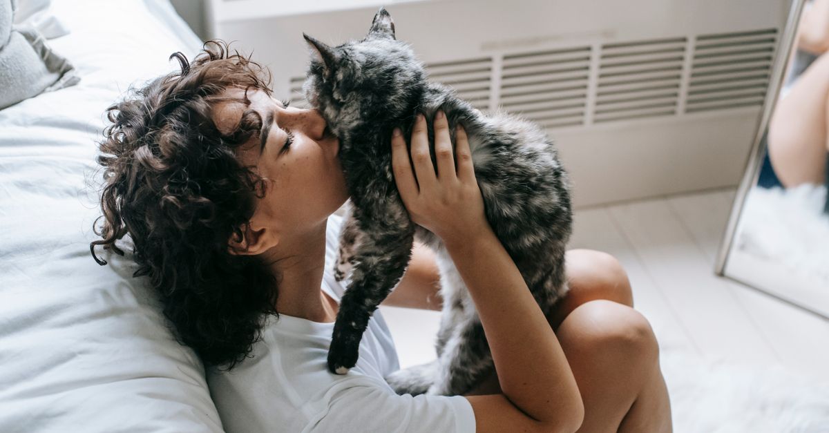 Study Links Cats to Increased Mental Health Issues in Children