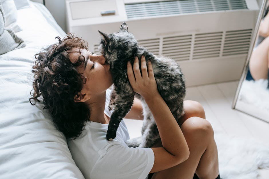 how strong is the bond between cat and owner