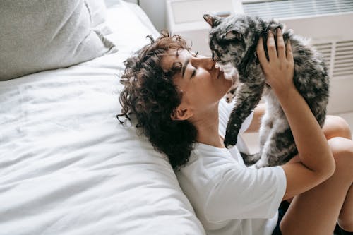 High angle of curly brunette embracing and touching noses with cute fluffy cat leaning on bed in daylight