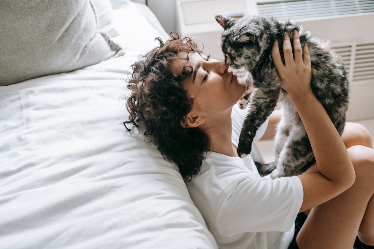 High angle of curly brunette embracing and touching noses with cute fluffy cat leaning on bed in daylight