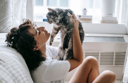 Free Side view of female owner playing with cute fluffy cat in hands while sitting near bed in room with window Stock Photo