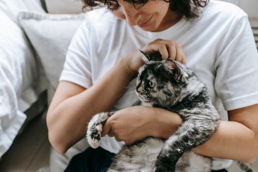 Crop woman stroking cat in hands