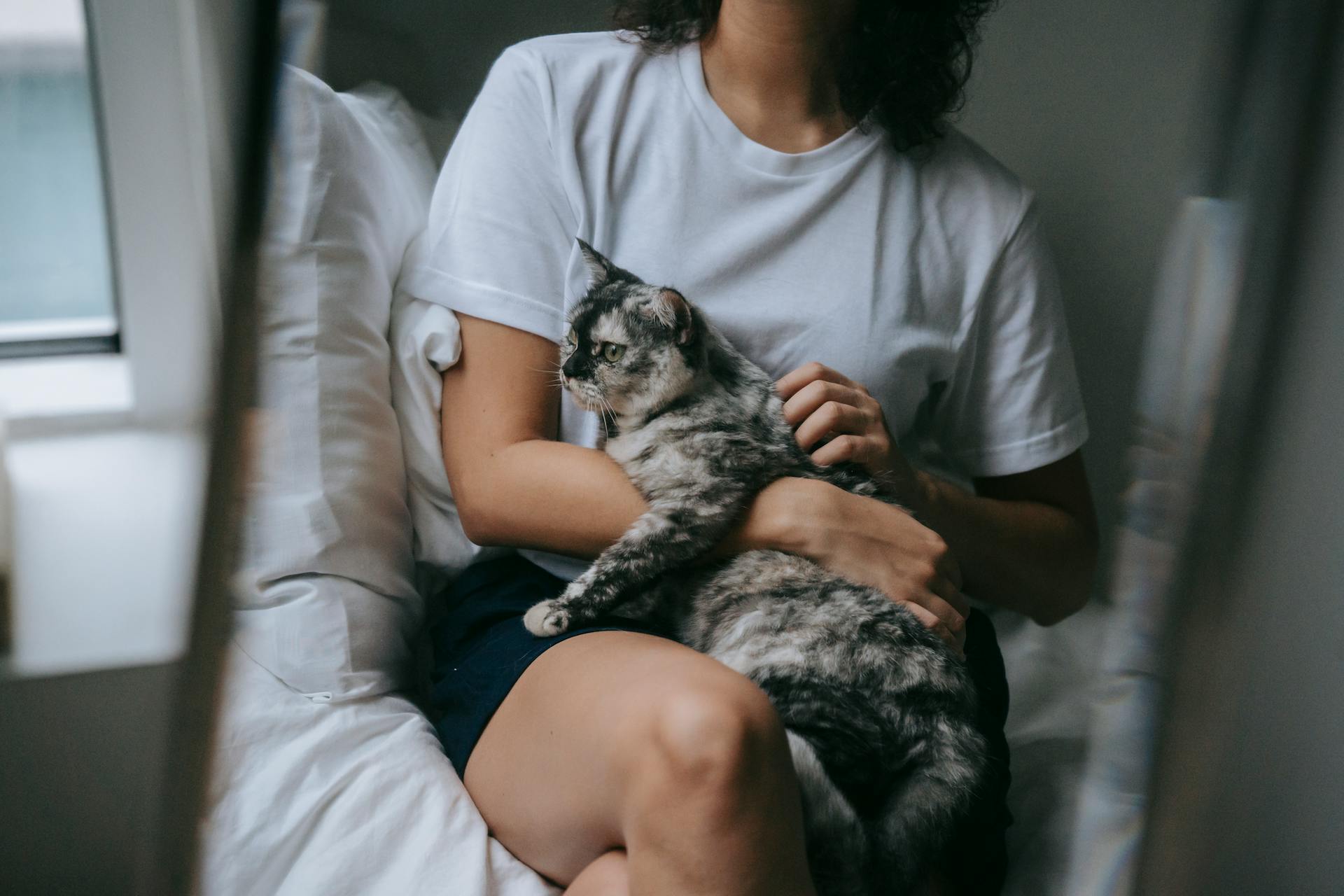 Unrecognizable female petting dappled cat lying on lap while sitting on bed and reflecting in mirror in bedroom at home