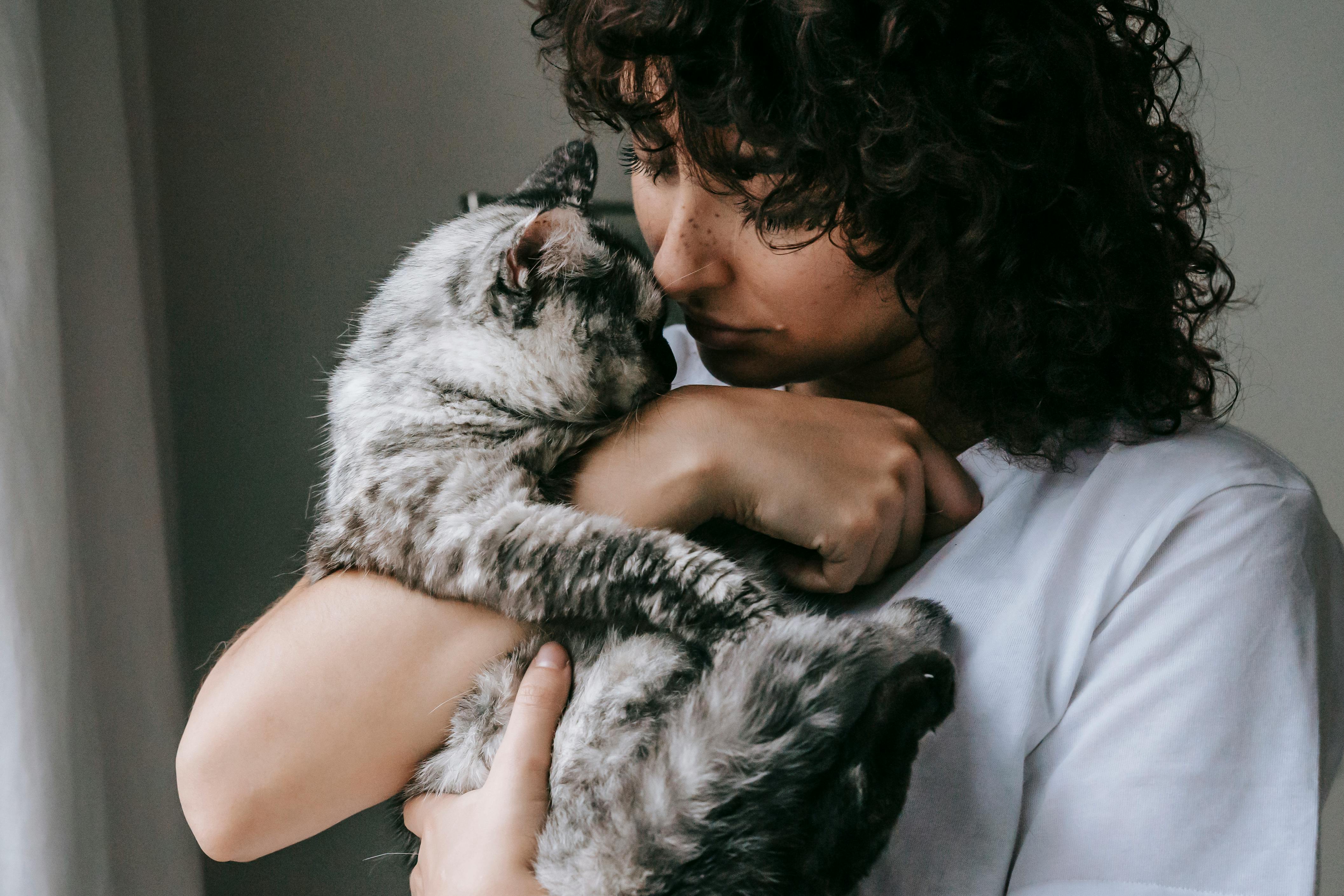 Curly woman with charming cat · Free Stock Photo