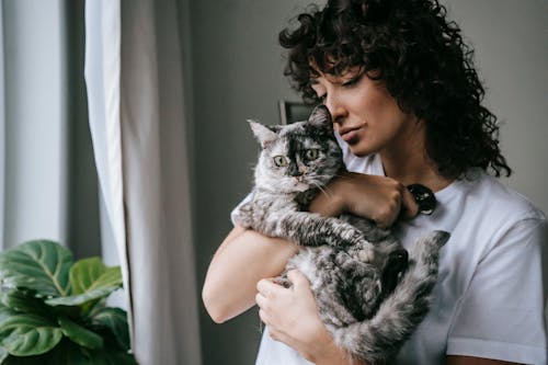Calm woman with soft charming cat