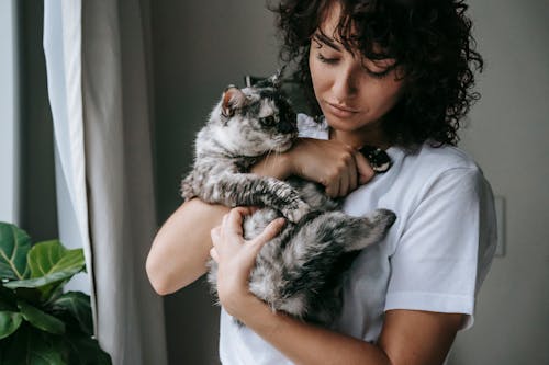 Free Calm curly woman in white t shirt holding charming soft cat on hands standing at home Stock Photo