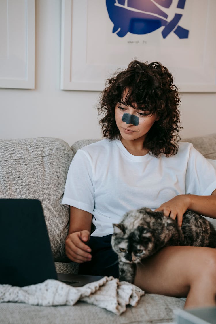 Young Female Petting Cat And Watching Video On Laptop Sitting On Sofa