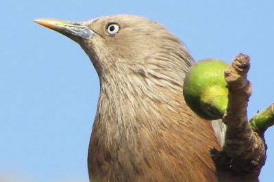 Single woman balancing dating and conception journey