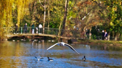 Fertility loan and financing comparison options