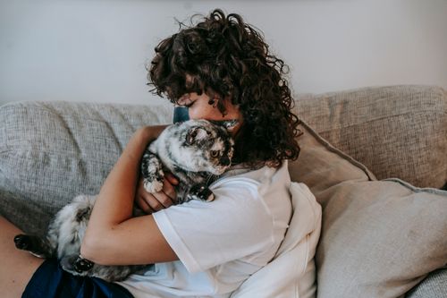 Free Side view of calm young female owner with dark curly hair and charcoal mask on nose relaxing on soft couch and embracing adorable cat with closed eyes Stock Photo